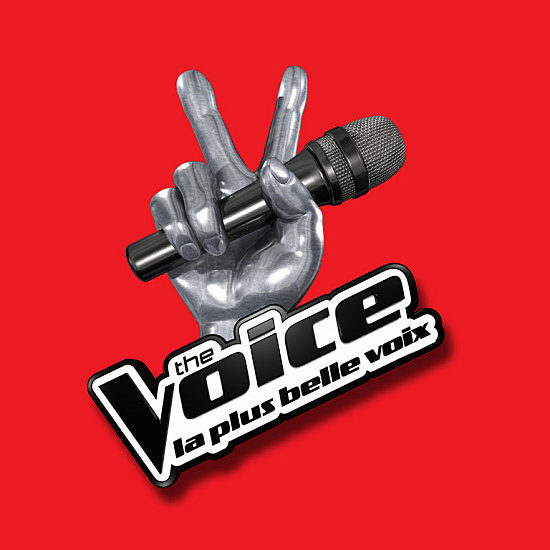 Logo The Voice, la plus belle voix