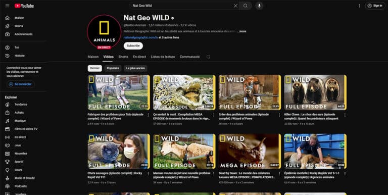 Nat Geo Wild TV : le live streaming HD à regarder depuis la France