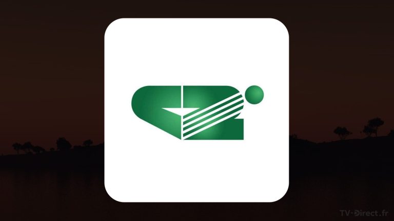 Quelles solutions gratuites pour recevoir Canal 2 International en direct en France ?