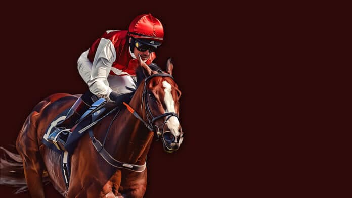 Comment regarder l'arrivée des courses hippiques en live streaming ?