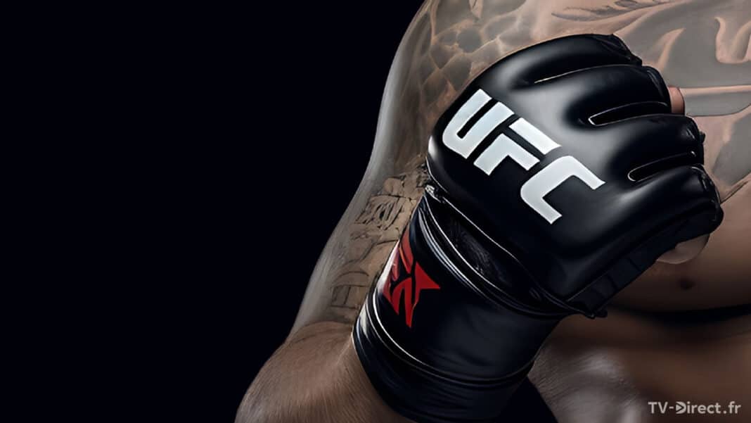 Ufc En Direct Sur Internet Gratuit