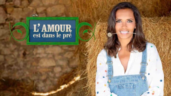 Quand commence l'Amour est dans le pré 2025 Saison 20 ?