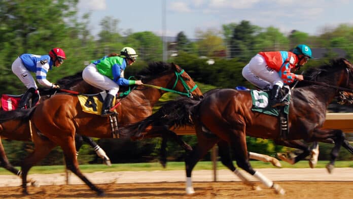 Calendrier hippique 2026 : toutes les dates des grandes courses PMU