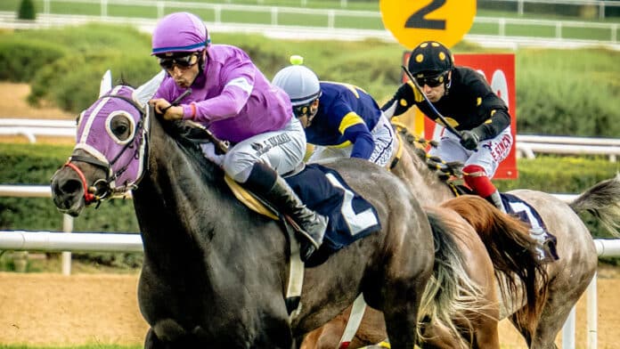 Prix Maurice de Gheest 2026 : date, horaire, diffusion TV et informations pratiques